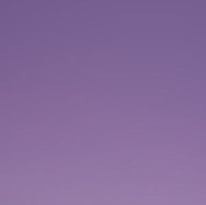 Meet your Posher, Didi